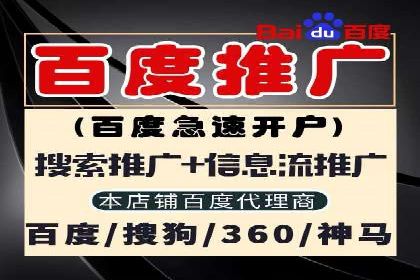 SEM运营策略案例分析